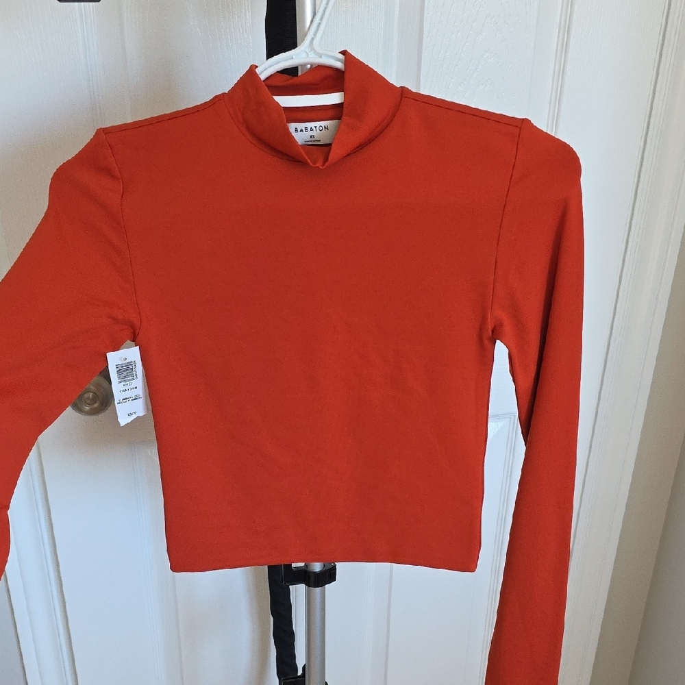 babaton contour long sleeve mock neck